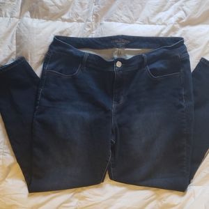 Maurices Jeggings